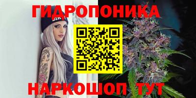 spice Апшеронск