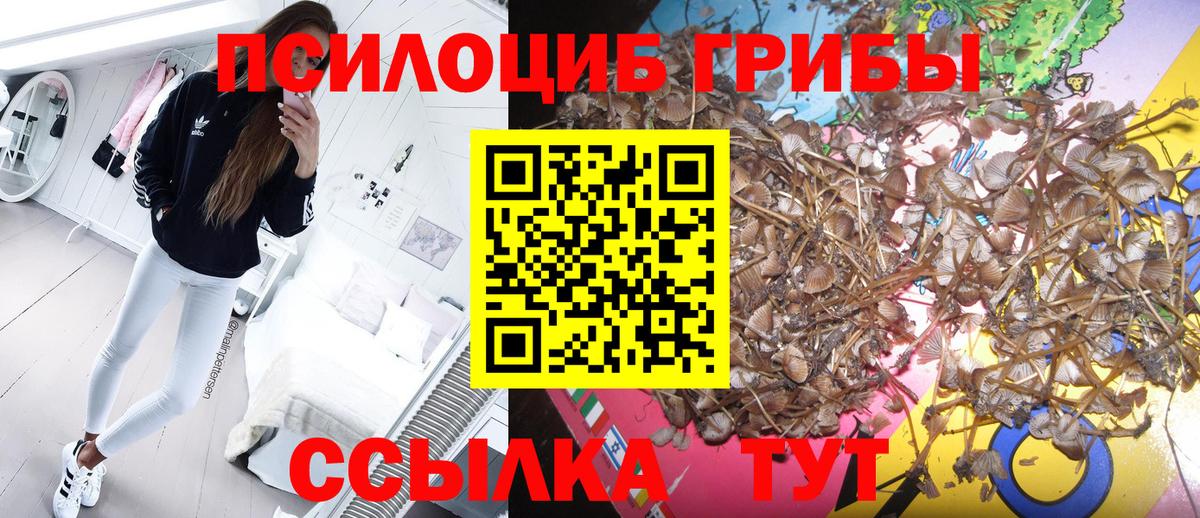 Карабулак  Галлюциногенные грибы Magic Shrooms  Вход с VPN  Псилоцибиновые грибы мицелий 