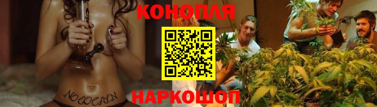 Конопля сатива Карабулак